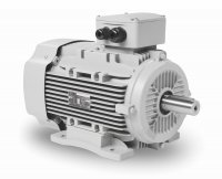 elektromotor 0,75kw 1AL100L-8