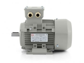 elektromotor 0,12kW 1ALZ63M2-6 zvýšený výkon