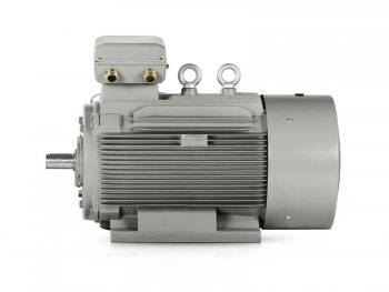 elektromotor 110kW 1LC 315L2-8