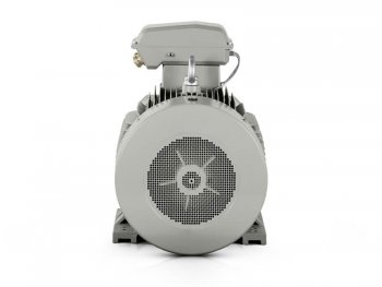 elektromotor 110kW 1LC 315L2-8