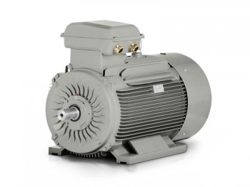 elektromotor 200kW 1LC 355L-8